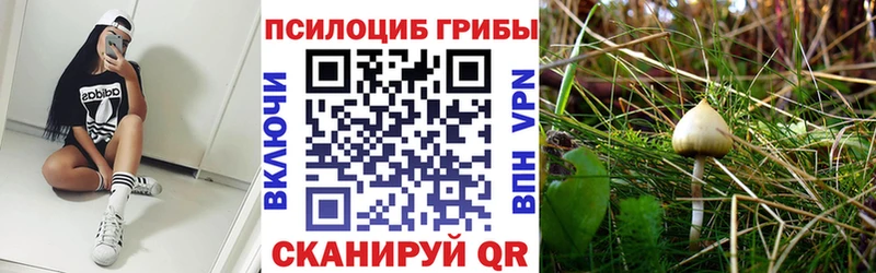 Галлюциногенные грибы GOLDEN TEACHER  Жирновск 