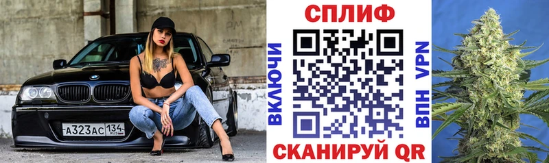 Конопля план  где купить наркоту  Жирновск 